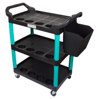 telezhka-polirovchika-hanko-sp-2025-1101