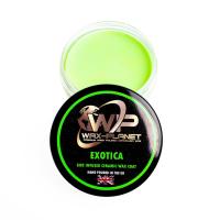 wp-exotica-wt.720x720 wp-exotica-wt.720x720