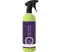 nanolex_reactivating_glass_cleaner_750ml