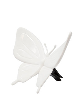 butterfly-white
