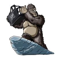 sumka_f_bezkontura.720x720