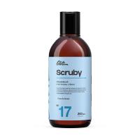 G1702-17-scruby-abrazivnyy-ochistitel-stekol-200ml-glitz