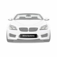 shine-systems-logotip-dlya-nomera