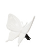 butterfly-white