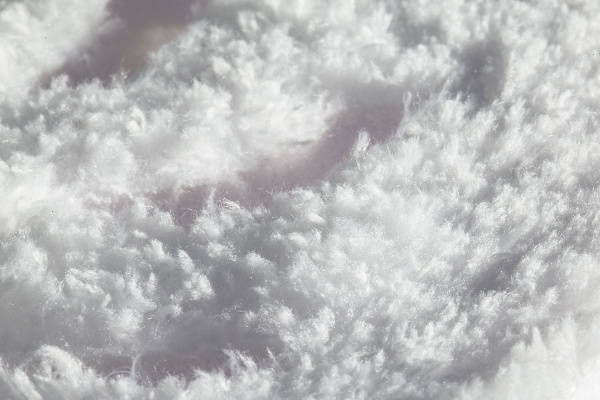 913503a314398527e74829a4ebfe56d3